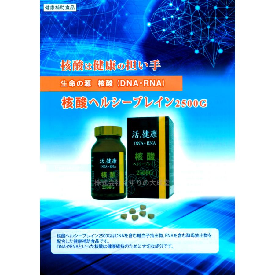 核酸ヘルシーブレイン 2500G 360粒 2個 明治製薬 : まがぬまの店 