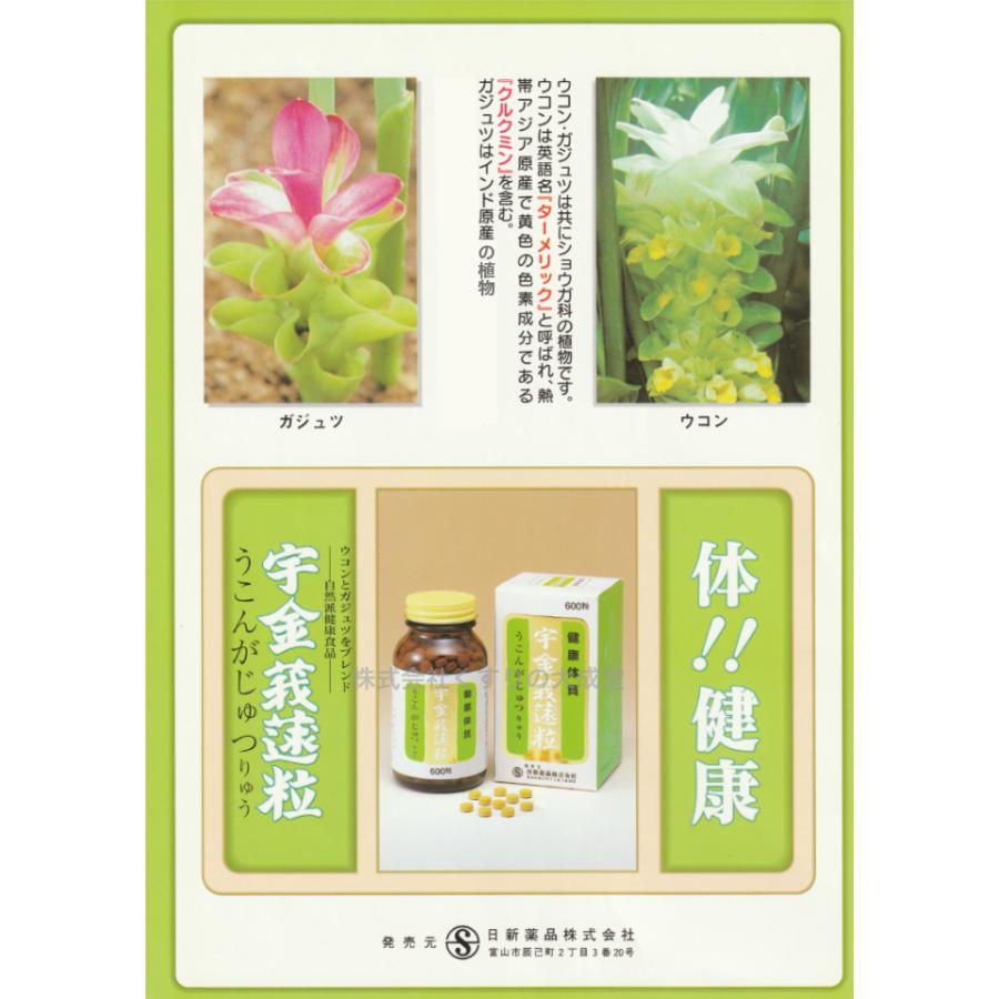 手数料安い がじゅつ クルクミン うこん 紫ウコン うこんがじゅつりゅう 日新薬品 6個 600粒 宇金莪じゅつ粒 サプリメント