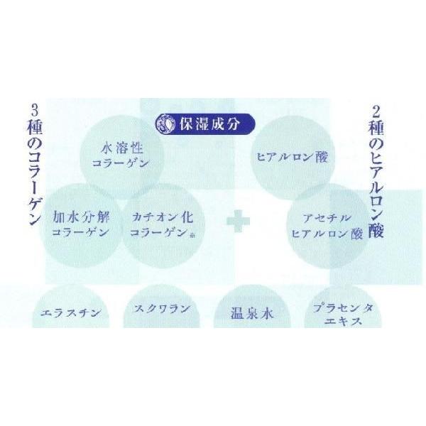うつくし堂 クリームRich 55g 12個 廣貫堂 広貫堂 クリームリッチ 商品名変更予定有の画像