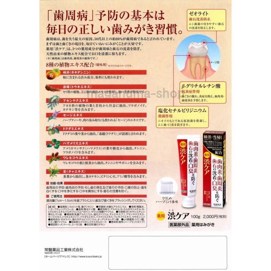 薬用 渋ケア 100g 10個  薬用はみがき 常盤薬品 ノエビアグループ トキワ 医薬部外品の画像