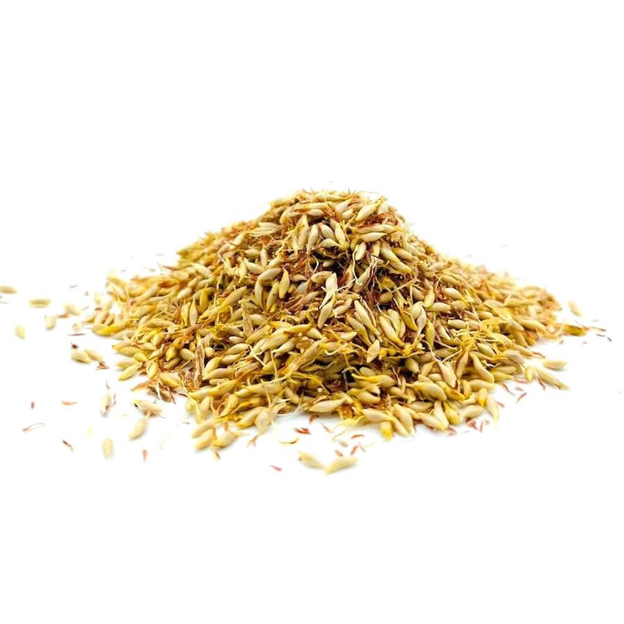 愛玉子（オーギョーチ）120g |  | 02