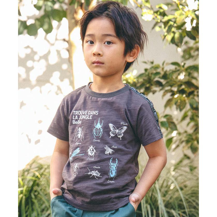 BeBe 【ベベ】スラブ天竺昆虫図鑑半袖Tシャツ(80~150cm) : MAGASEEK 