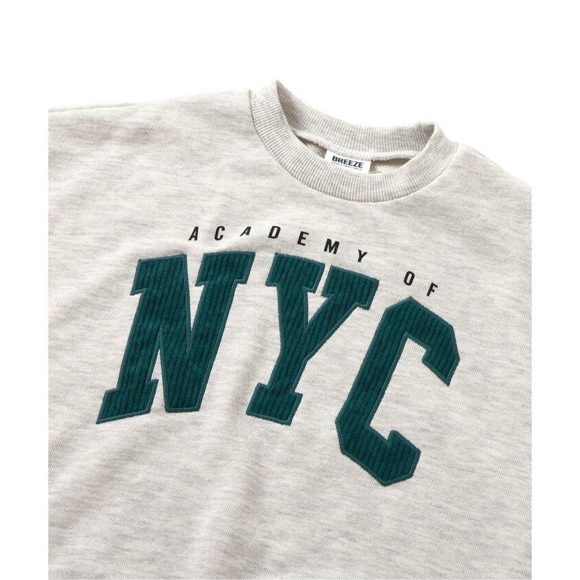 BREEZE 【ブリーズ】切替ロゴトレーナー(セットアップ可