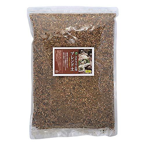 苔テラリウム 用土 コケリウム 土 2l コケリウムブレンド Magic Magic 通販 Yahoo ショッピング