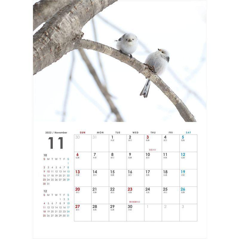 シマエナガ グッズ 書籍関連グッズ の商品一覧 本 雑誌 コミック 通販 Yahoo ショッピング