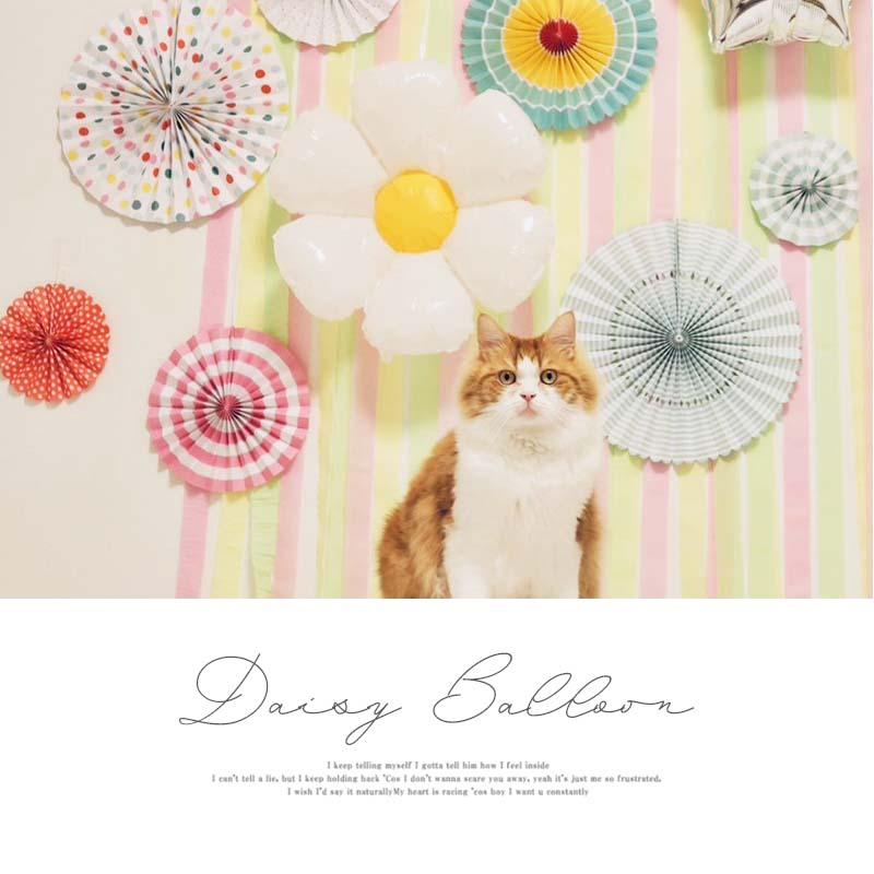 風船 バルーン 飾り お花 【デイジー大】 71cm デイジー パーティー フィルムバルーン ホイルバルーン 飾りつけ おしゃれ 子どもの日 こどもの日 バースデー |  | 01