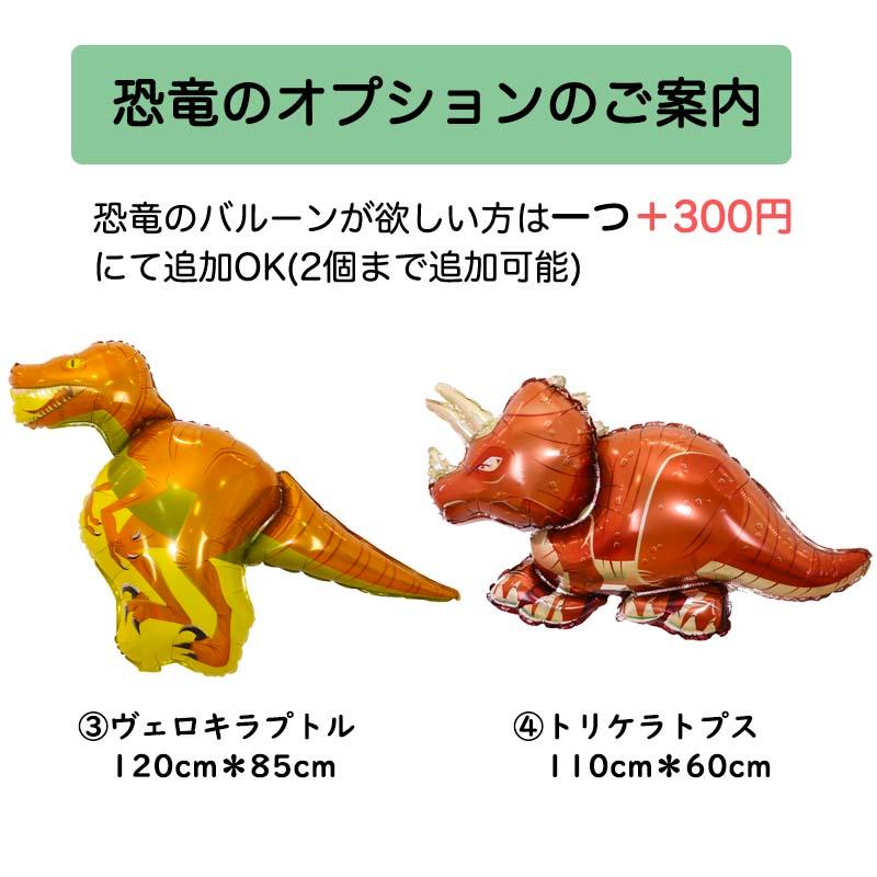 恐竜デコレ 誕生日 バースデー 飾りつけ |  | 13