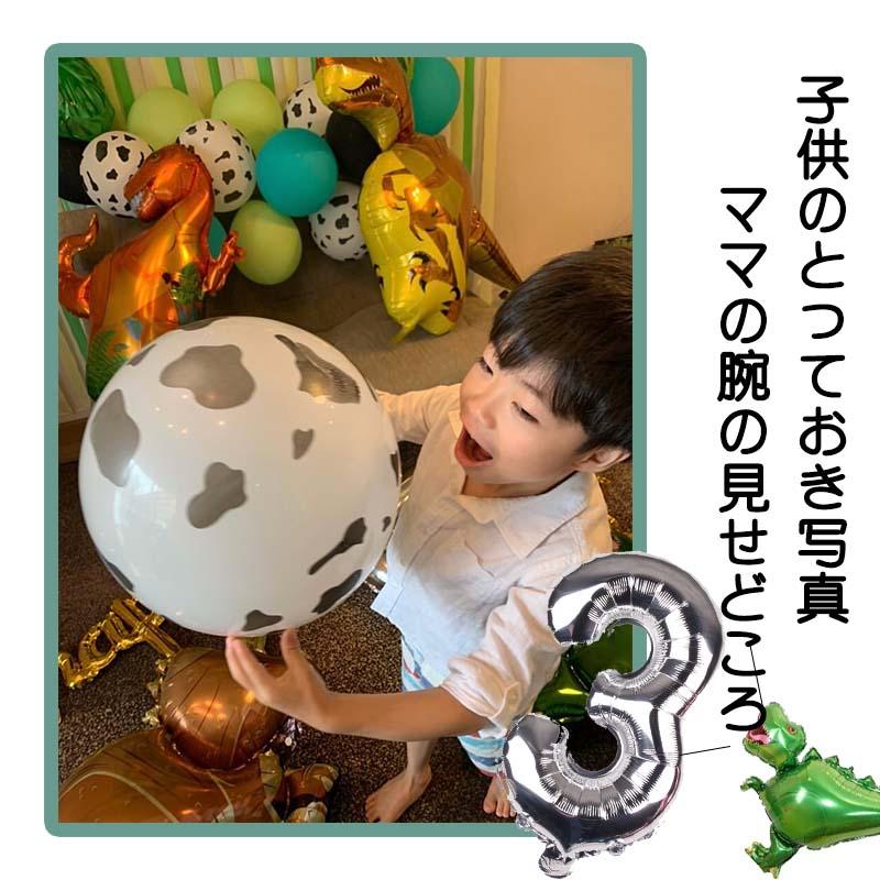 恐竜デコレ 誕生日 バースデー 飾りつけ |  | 06