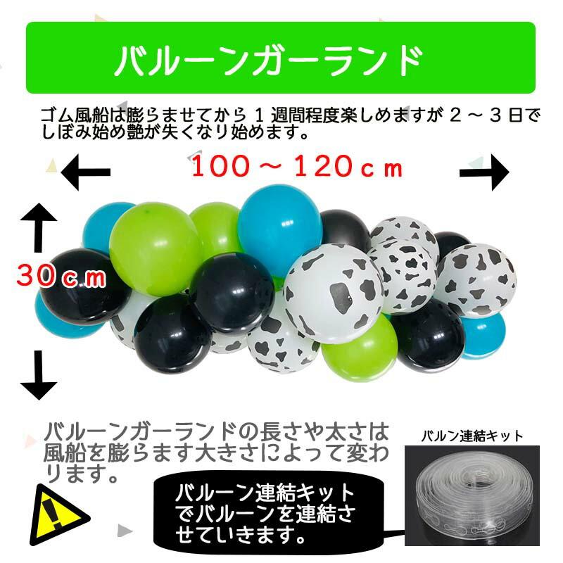 ダイナソーデコレ 誕生日 バースデー 飾りつけ |  | 11