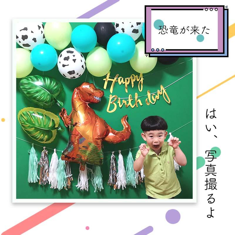ティラノサウルスデコレ 誕生日 セット |  | 10