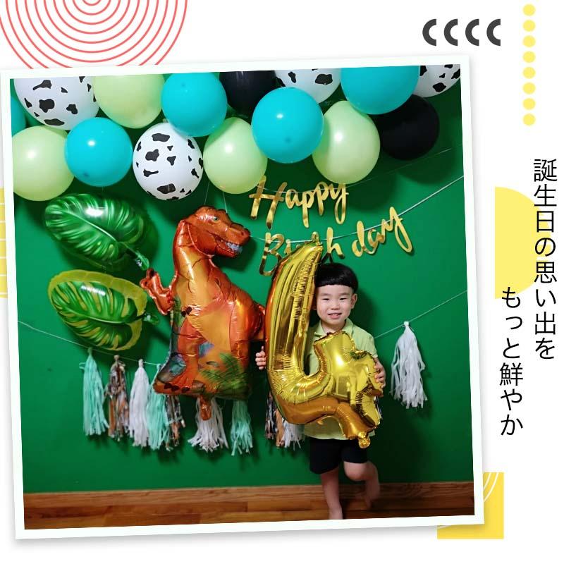 ティラノサウルスデコレ 誕生日 セット |  | 11
