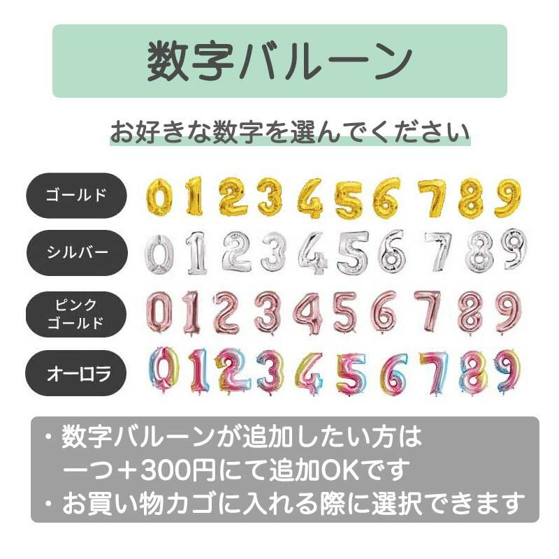 ティラノサウルスデコレ 誕生日 セット |  | 12
