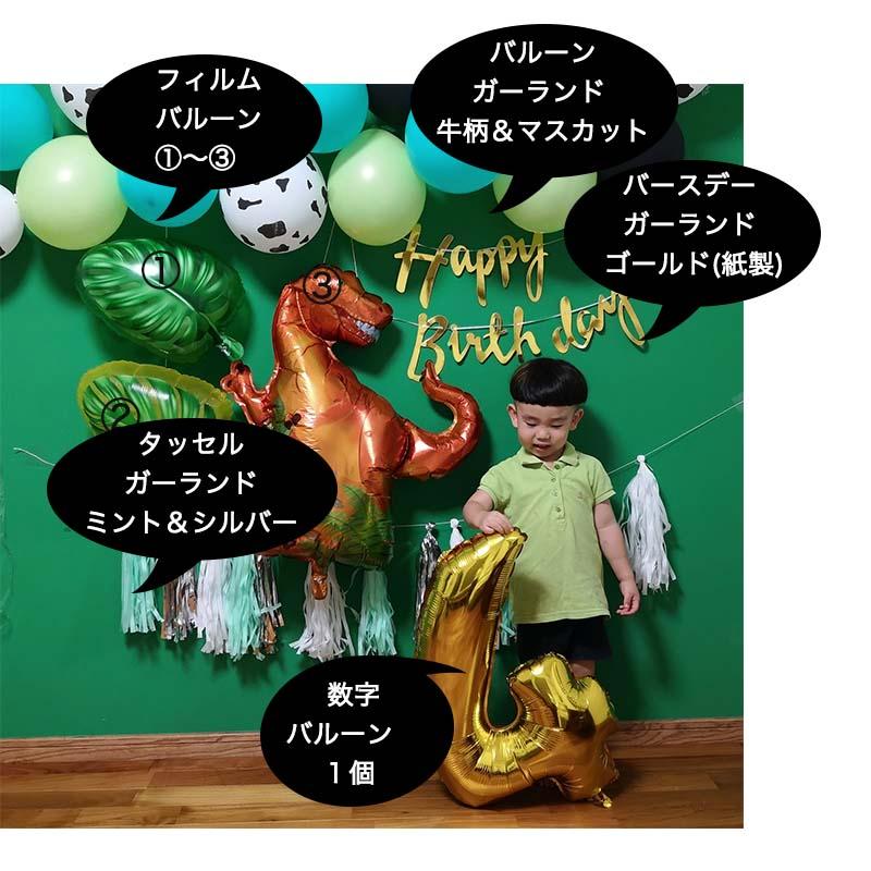 ティラノサウルスデコレ 誕生日 セット |  | 02