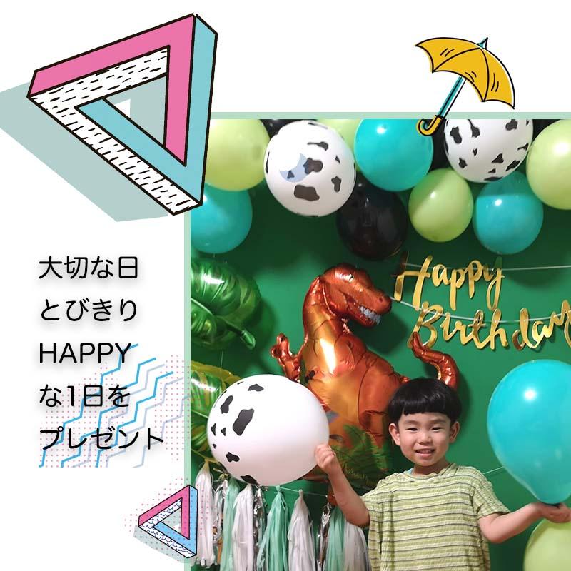 ティラノサウルスデコレ 誕生日 セット |  | 06
