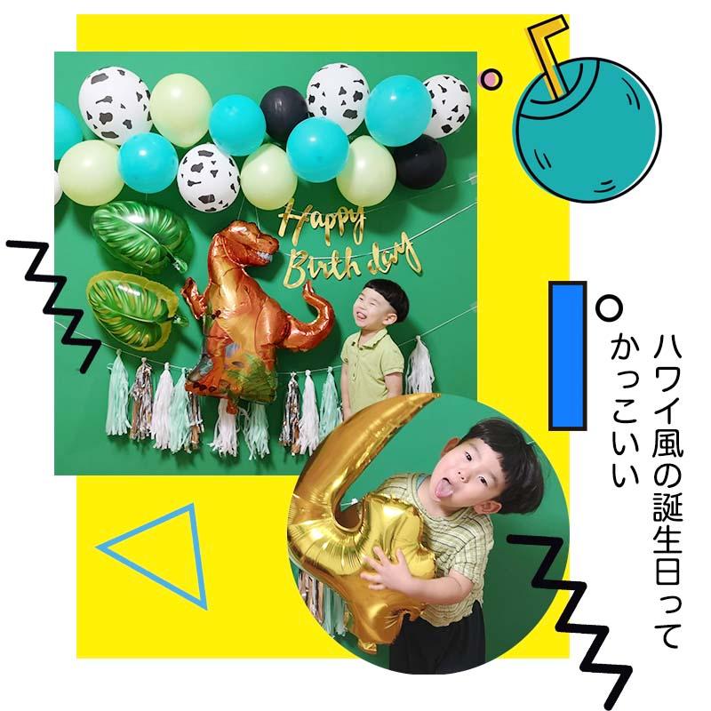ティラノサウルスデコレ 誕生日 セット |  | 07
