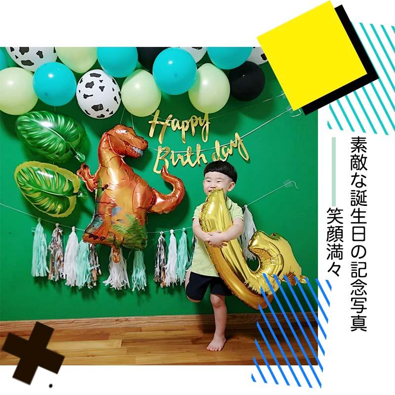 ティラノサウルスデコレ 誕生日 セット |  | 08
