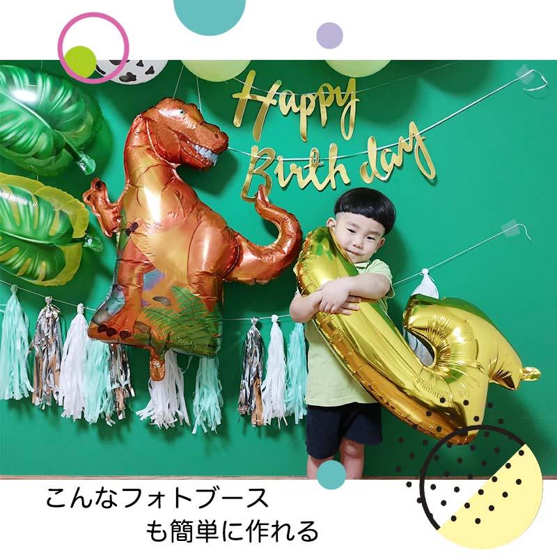 ティラノサウルスデコレ 誕生日 セット |  | 09