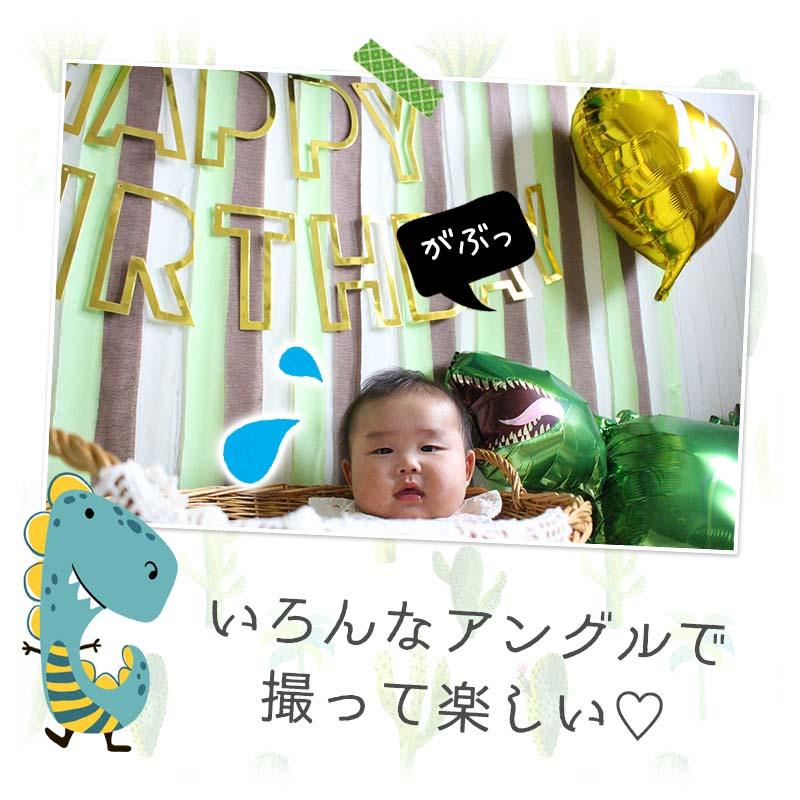 ハーフバースデー 専用 恐竜 デコレ 誕生日 ハーフバースデー |  | 12