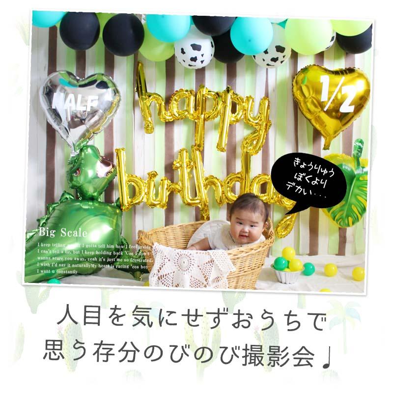 ハーフバースデー 専用 恐竜 デコレ 誕生日 ハーフバースデー |  | 13