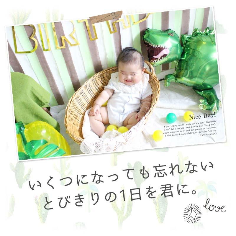 ハーフバースデー 専用 恐竜 デコレ 誕生日 ハーフバースデー |  | 14