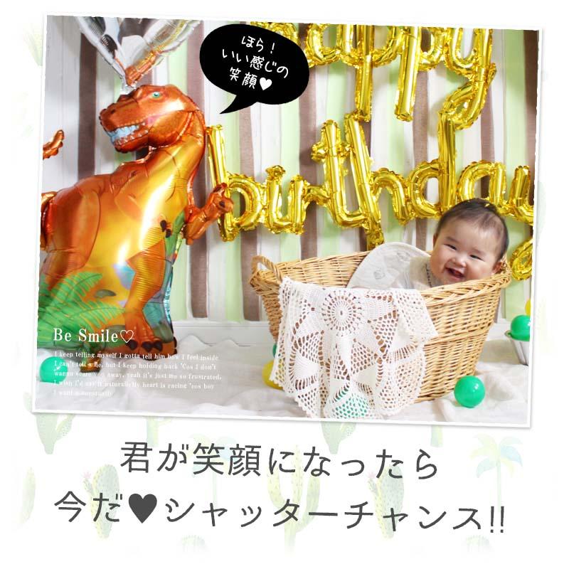 ハーフバースデー 専用 恐竜 デコレ 誕生日 ハーフバースデー |  | 04