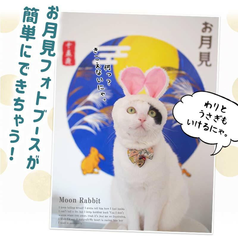 ウォールステッカー 十五夜 お月見 秋 紅葉 はがせる 壁 シール ステッカー 壁紙 大きい 飾り 飾りつけ 植物 木 葉 草 花 月 うさぎ ハロウィン 受注印刷 |  | 10