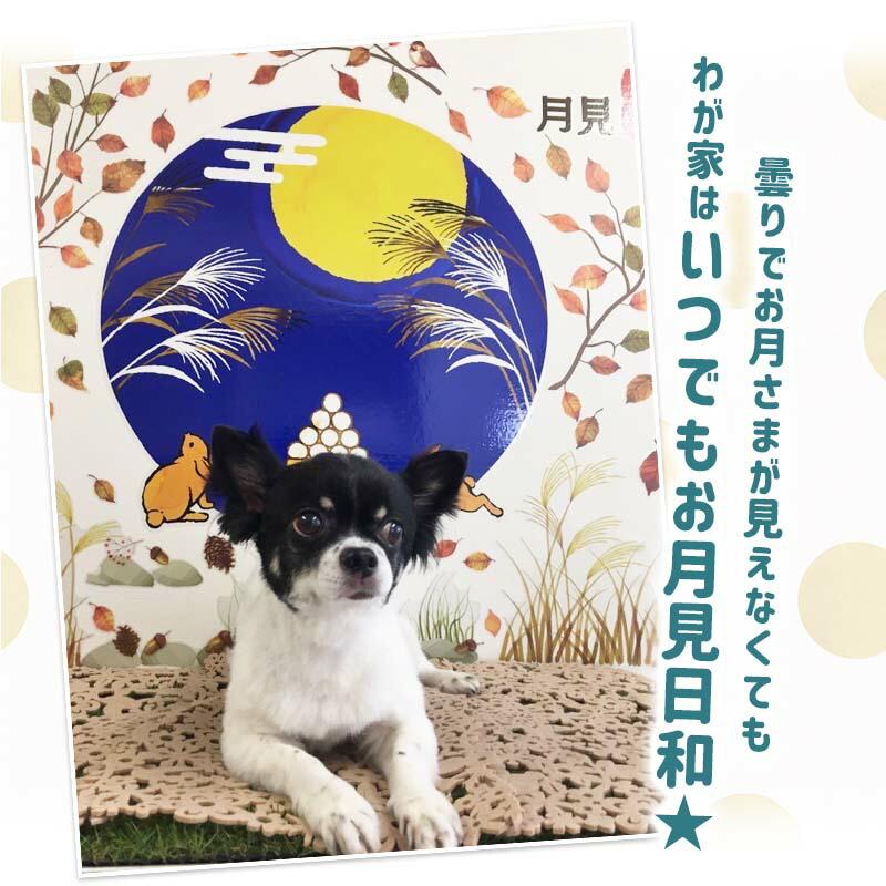 ウォールステッカー 十五夜 お月見 秋 紅葉 【お月見フォトブースセット】 はがせる 壁 シール ステッカー 壁紙 大きい 飾り 飾りつけ 受注印刷 |  | 13