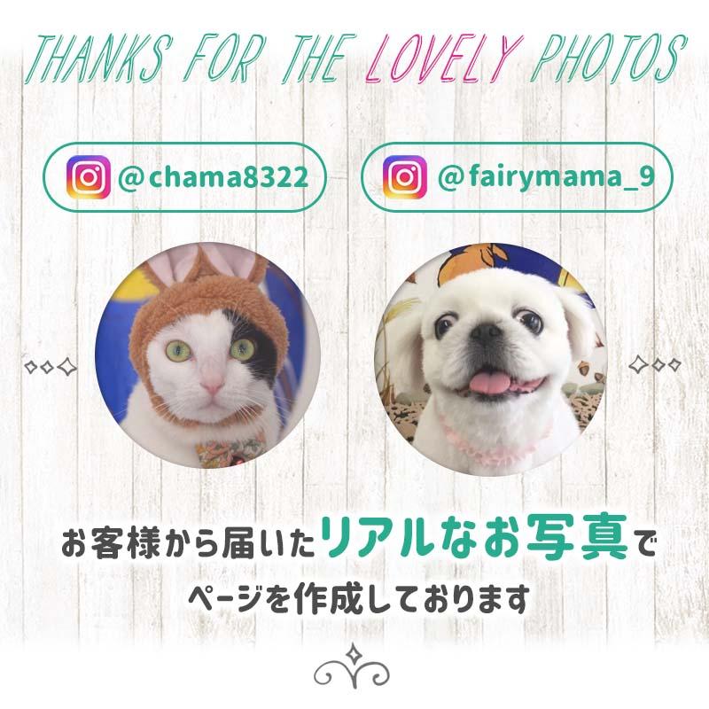 ウォールステッカー 十五夜 お月見 秋 紅葉 はがせる 壁 シール ステッカー 壁紙 大きい 飾り 飾りつけ 植物 木 葉 草 花 月 うさぎ ハロウィン 受注印刷 |  | 14