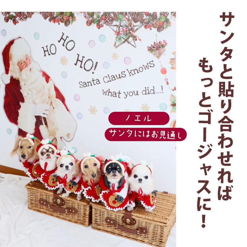 ウォールステッカー クリスマス 飾り 【ノエル】 はがせる 壁 シール ステッカー 壁紙 飾りつけ おしゃれ かわいい 北欧 店内装飾 目隠し リース | ウォールステッカーのスクウェア | 08