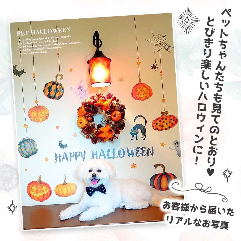 ウォールステッカー ハロウィン 飾り 【パンプキン】 はがせる 壁 シール ステッカー 壁紙 飾り 飾りつけ イベント 背景 ジャックオランタン かぼちゃ | ウォールステッカーのスクウェア | 12