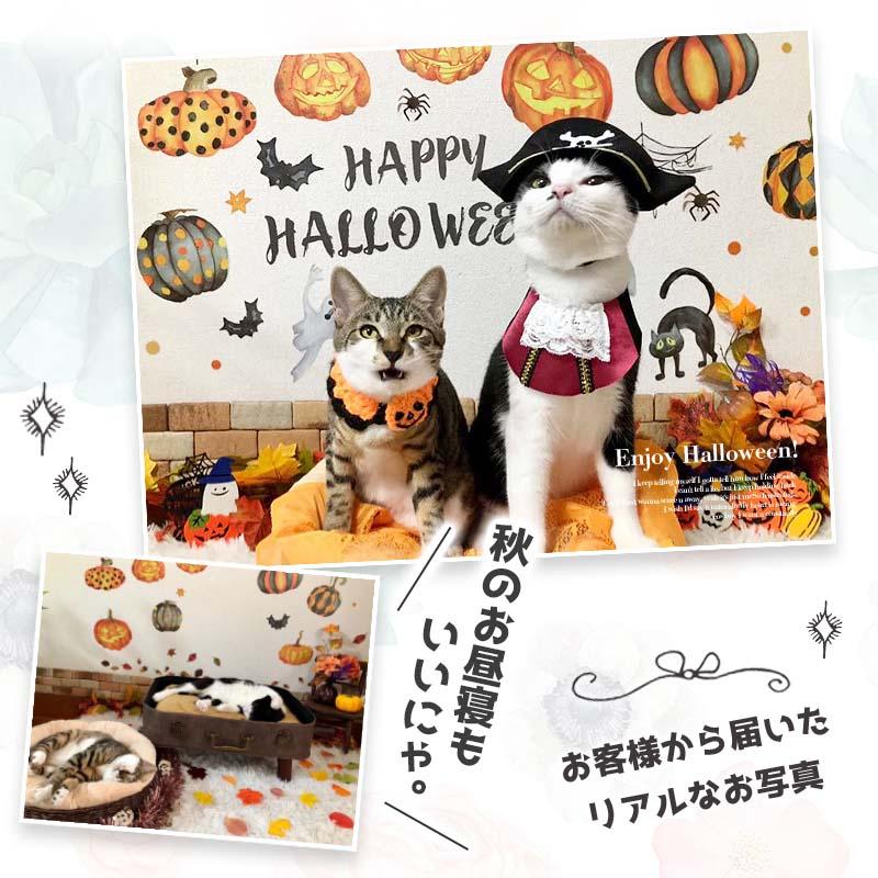 ウォールステッカー ハロウィン 飾り 秋 紅葉 大きい 装飾 シール おしゃれ はがせる 高級感 パンプキン｜magic-square｜06