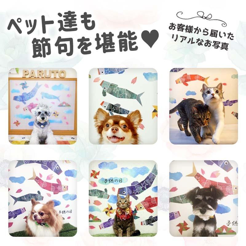 ウォールステッカー こいのぼり こどもの日 すくすくこいのぼり 子供の日 シール 飾り かわいい 端午の節句 鯉のぼり 鎧兜 お祝い 五月人形 初節句 Mws0506 ウォールステッカーのスクウェア 通販 Yahoo ショッピング