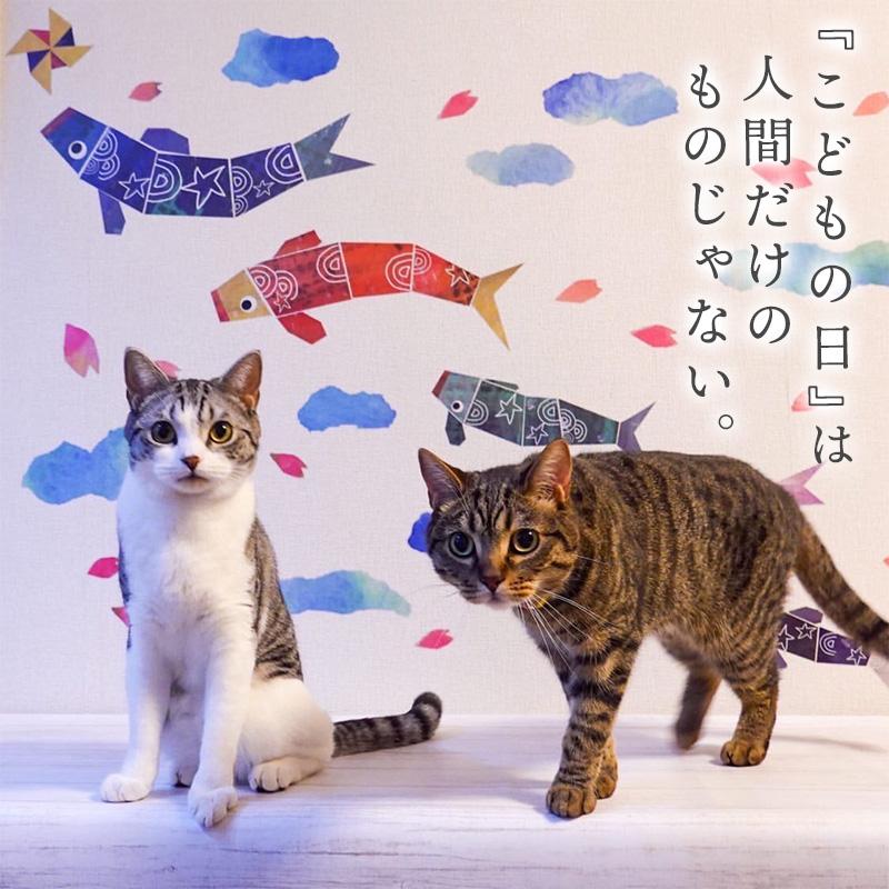 ウォールステッカー 子どもの日 飾り 【すくすくこいのぼり】 はがせる 壁 シール ステッカー 壁紙 飾り 飾りつけ おしゃれ 鯉のぼり こいのぼり 兜 節句 初節句 | マジックスクウェア | 08