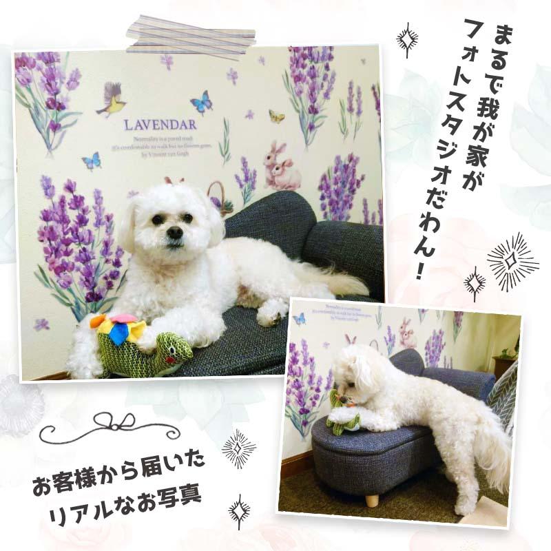 ウォールステッカー 花 ラベンダー イースター はがせる 壁 シール ステッカー 壁紙 大きい 飾り 飾りつけ おしゃれ 北欧 植物 木 葉 草 花 観葉植物 うさぎ | マジックスクウェア | 08