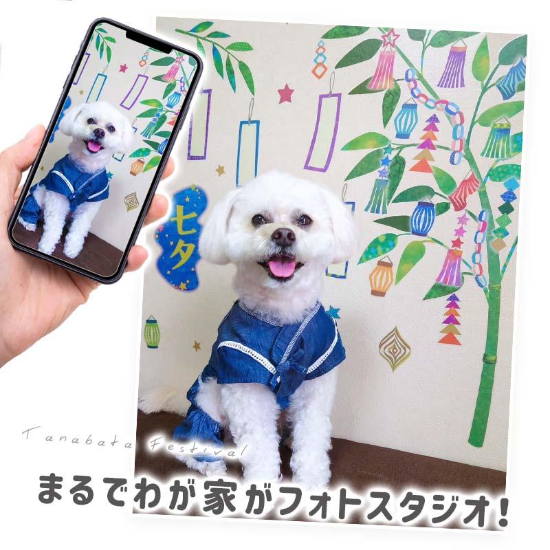 ウォールステッカー はがせる 壁 シール ステッカー 壁紙 大きい 飾り 飾りつけ おしゃれ 北欧 植物 花 動物 身長計 子供部屋 海 猫 動物 トイレ 文字 | マジックスクウェア | 06