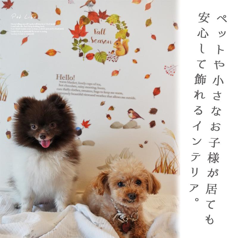 ウォールステッカー 飾り 枯葉 落ち葉 ハロウィン 【オータムカラー】 はがせる 壁 シール おしゃれ 植物 北欧 観葉植物 木 インテリア 店内装飾 |  | 10