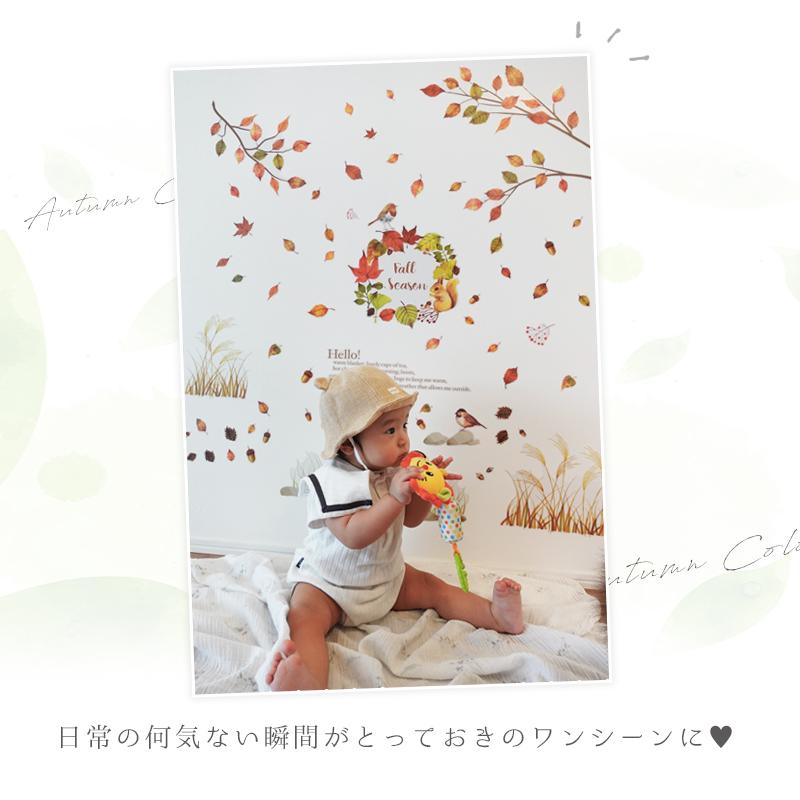 ウォールステッカー 飾り 枯葉 落ち葉 ハロウィン 【オータムカラー】 はがせる 壁 シール おしゃれ 植物 北欧 観葉植物 木 インテリア 店内装飾 |  | 13