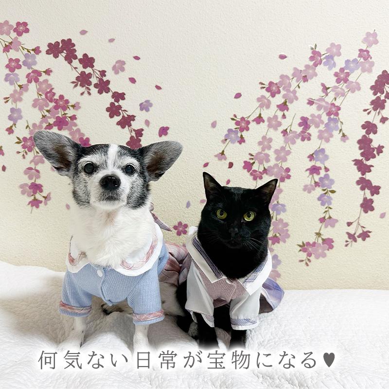 ウォールステッカー 花 桜 【たらりんサクラ】 はがせる 壁 シール ステッカー 壁紙 飾りつけ おしゃれ 北欧 植物 木 葉 草 花 観葉植物 ピンク さくら サクラ | マジックスクウェア | 14