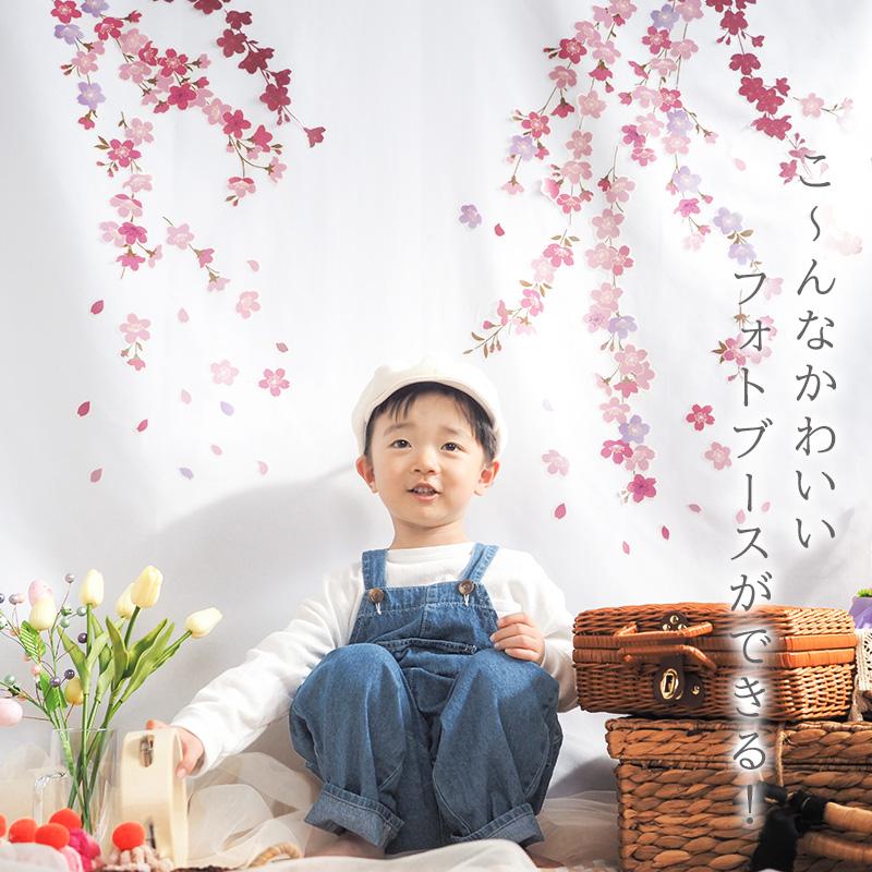 ウォールステッカー 花 桜 【たらりんサクラ】 はがせる 壁 シール ステッカー 壁紙 飾りつけ おしゃれ 北欧 植物 木 葉 草 花 観葉植物 ピンク さくら サクラ | マジックスクウェア | 01