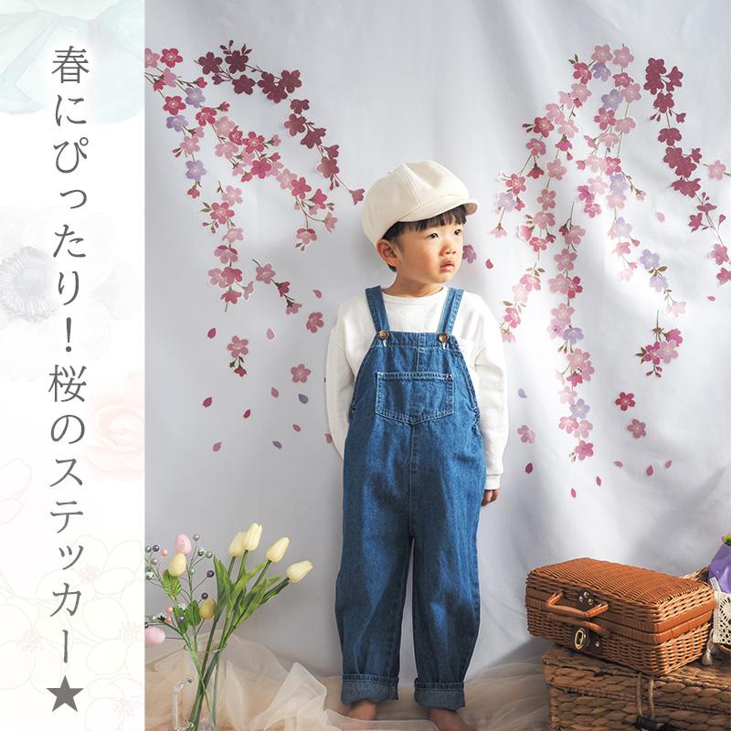 ウォールステッカー 花 桜 【たらりんサクラ】 はがせる 壁 シール ステッカー 壁紙 飾りつけ おしゃれ 北欧 植物 木 葉 草 花 観葉植物 ピンク さくら サクラ | マジックスクウェア | 02