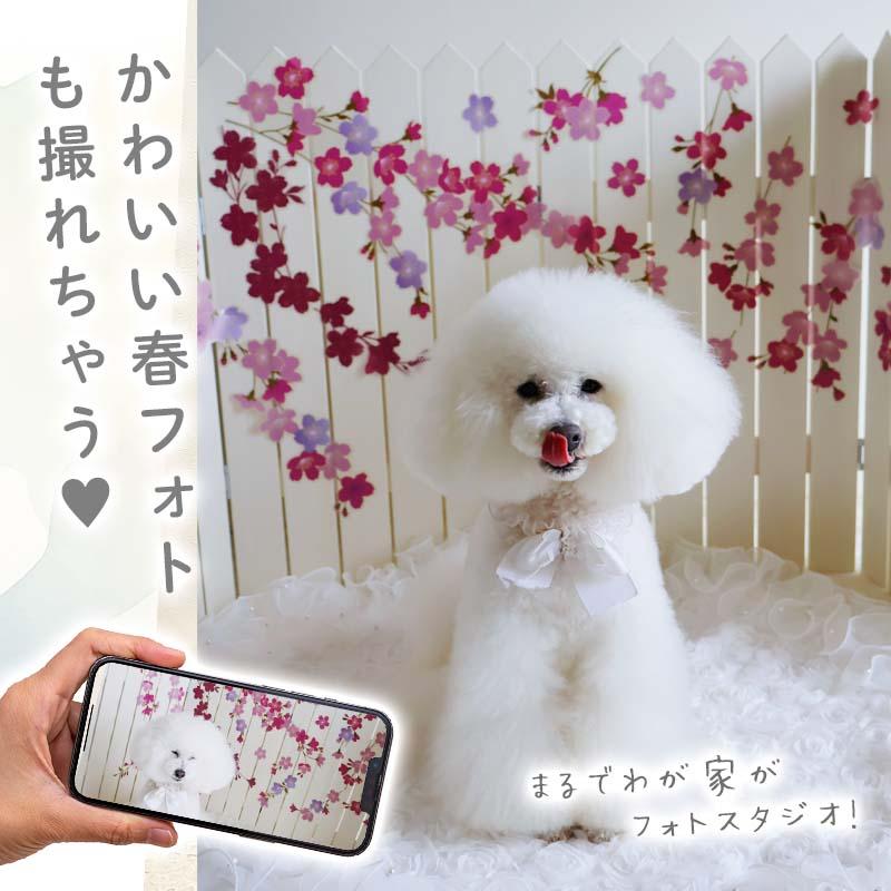 ウォールステッカー 桜 木 さくら 飾り 【たらりんサクラ】 はがせる 壁 シール ステッカー 壁紙 飾りつけ 北欧 動物 海の生き物 春 受注印刷 | ウォールステッカーのスクウェア | 04