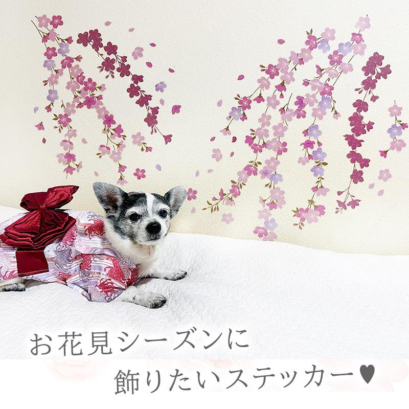 ウォールステッカー 花 桜 【たらりんサクラ】 はがせる 壁 シール ステッカー 壁紙 飾りつけ おしゃれ 北欧 植物 木 葉 草 花 観葉植物 ピンク さくら サクラ | マジックスクウェア | 06