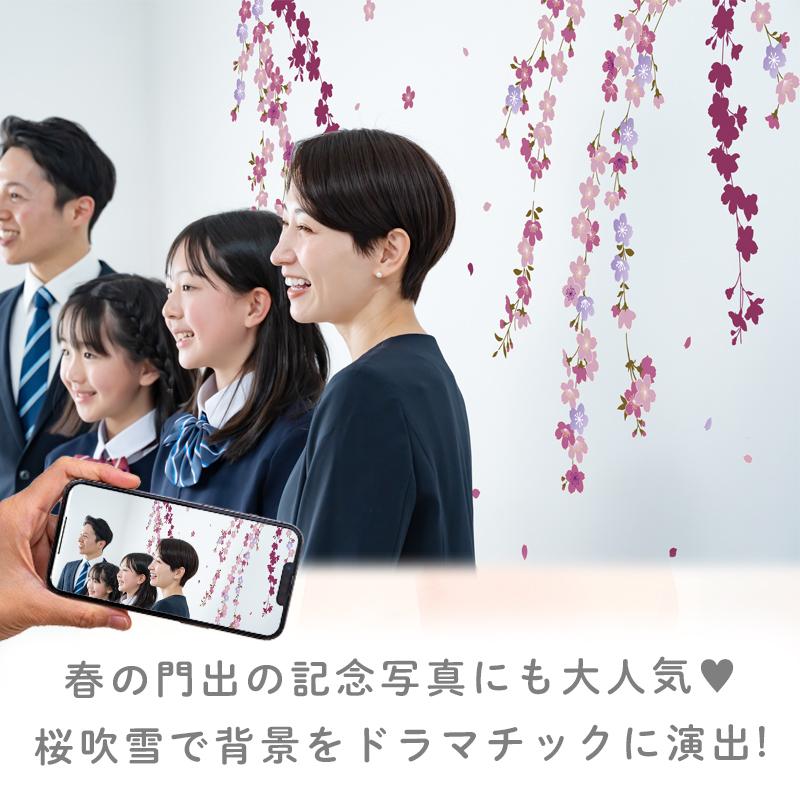 ウォールステッカー 桜 木 さくら 飾り 【たらりんサクラ】 はがせる 壁 シール ステッカー 壁紙 飾りつけ 北欧 動物 海の生き物 春 受注印刷 | ウォールステッカーのスクウェア | 06