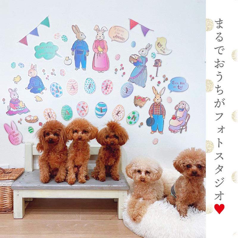 ウォールステッカー はがせる 壁 シール ステッカー 壁紙 大きい 飾り 飾りつけ おしゃれ 北欧 植物 花 動物 身長計 子供部屋 海 猫 動物 トイレ 文字 |  | 14