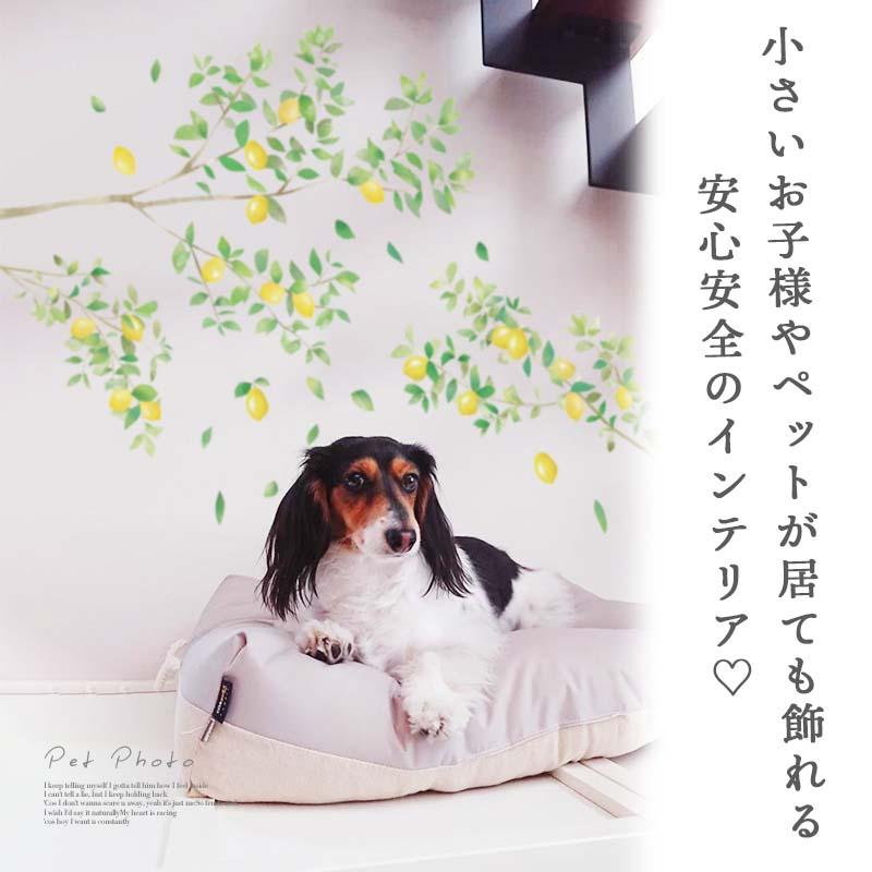 ウォールステッカー はがせる シール 壁紙  レモンの木　 |  | 13