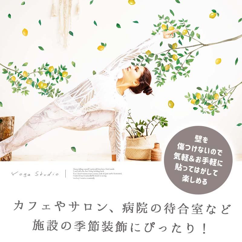 ウォールステッカー はがせる シール 壁紙  レモンの木　 |  | 16