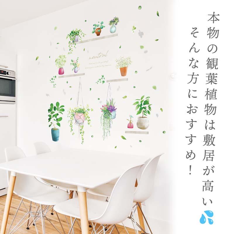 ウォールステッカー 鉢植え 鉢 プランター はがせる 壁 シール ステッカー 壁紙 飾りつけ おしゃれ 北欧 植物 木 葉 草 花 観葉植物 ハンギングプランター |  | 15