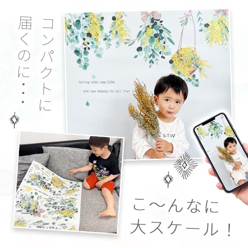 ウォールステッカー ミモザ 国際女性デー 花 フラワー 観葉植物 おしゃれ はがせる 大きい 賃貸OK シール 壁紙 飾り 北欧 子ども かわいい 木 葉 草 英字 | マジックスクウェア | 10