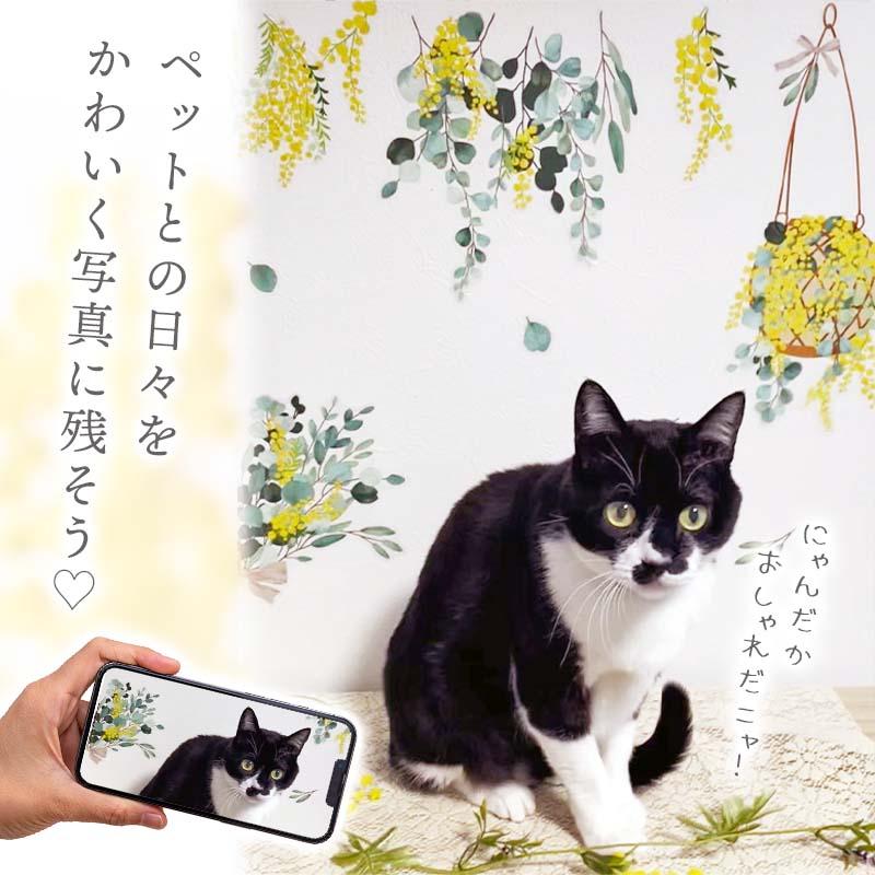 ウォールステッカー ミモザ 国際女性デー 花 フラワー 観葉植物 おしゃれ はがせる 大きい 賃貸OK シール 壁紙 飾り 北欧 子ども かわいい 木 葉 草 英字 | マジックスクウェア | 16