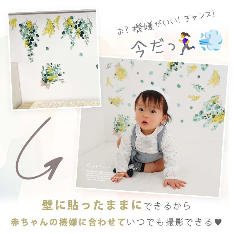 ウォールステッカー ミモザ 国際女性デー 花 フラワー 観葉植物 おしゃれ はがせる 大きい 賃貸OK シール 壁紙 飾り 北欧 子ども かわいい 木 葉 草 英字 | マジックスクウェア | 17